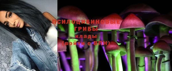 2c-b Верхний Тагил