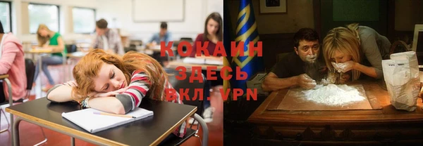 ГАЛЛЮЦИНОГЕННЫЕ ГРИБЫ Белокуриха