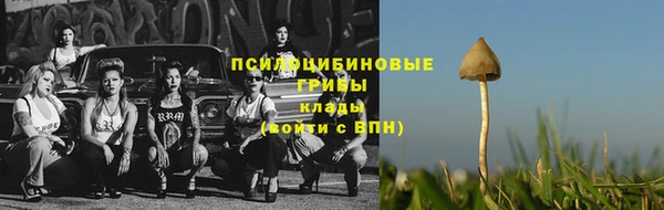 ГАЛЛЮЦИНОГЕННЫЕ ГРИБЫ Белокуриха