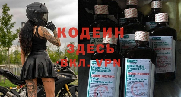 ГАЛЛЮЦИНОГЕННЫЕ ГРИБЫ Белокуриха