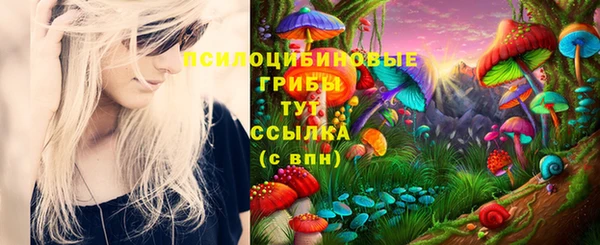 первитин Верея