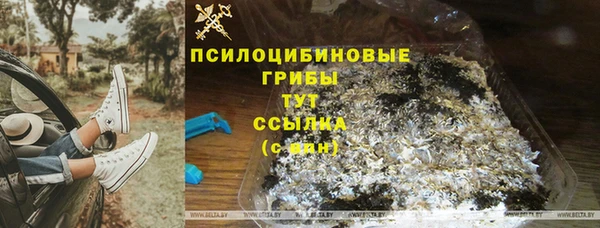 индика Аркадак