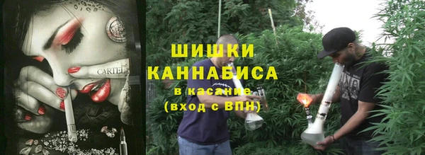 прущие грибы Верхнеуральск