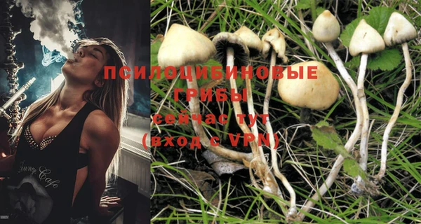 таблы Белоозёрский