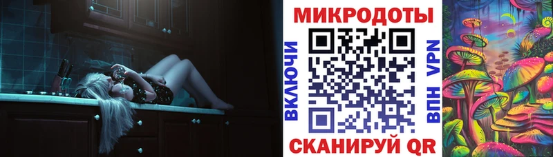 Купить  Сафоново  Галлюциногенные грибы Psilocybe 
